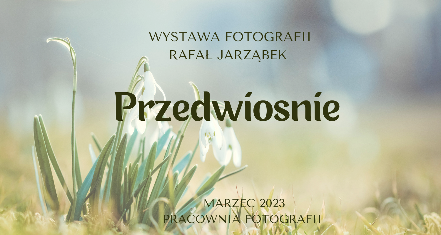 Przedwiośnie - wystawa fotografii Rafała 